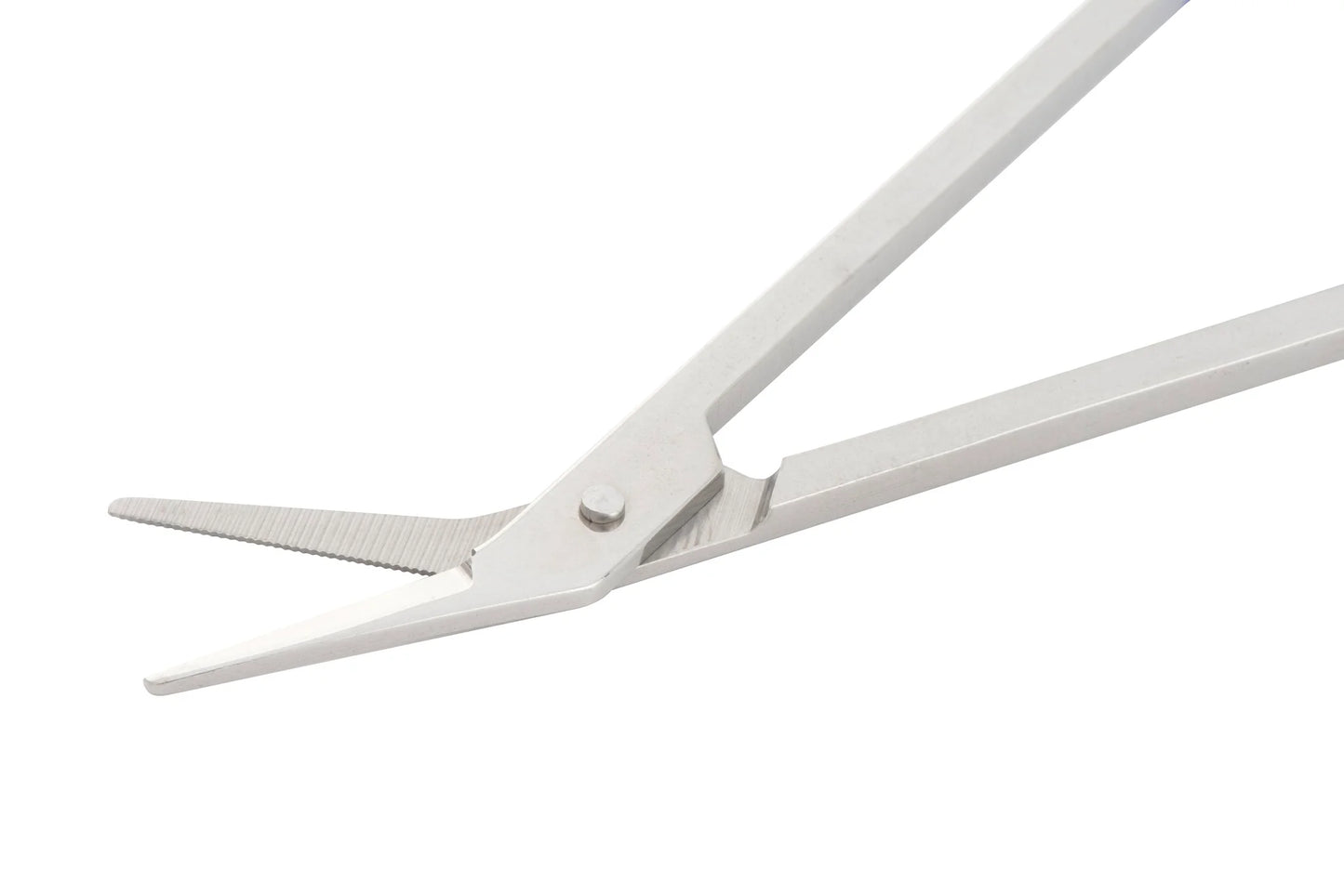 Toenail scissors with extra long handle blue