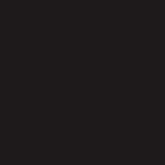RUCK® Eckenzange turmspitz