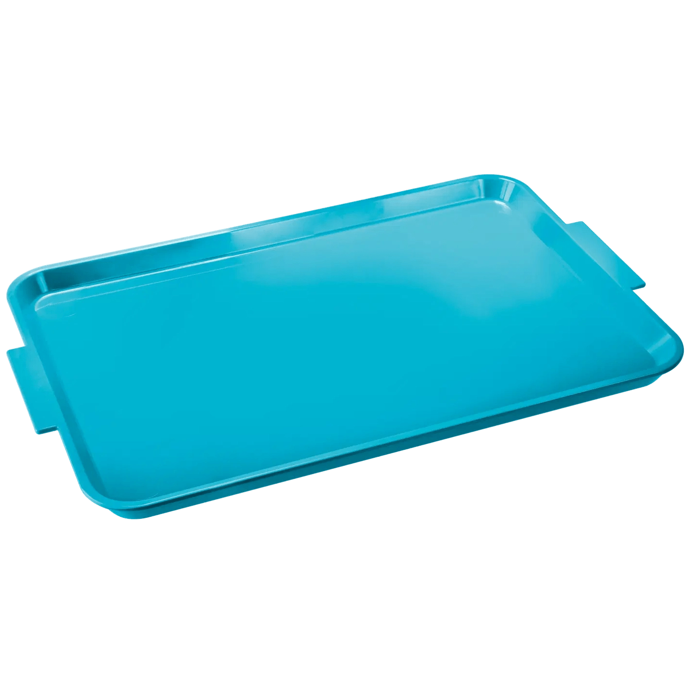 RUCK® Instrumententablett groß