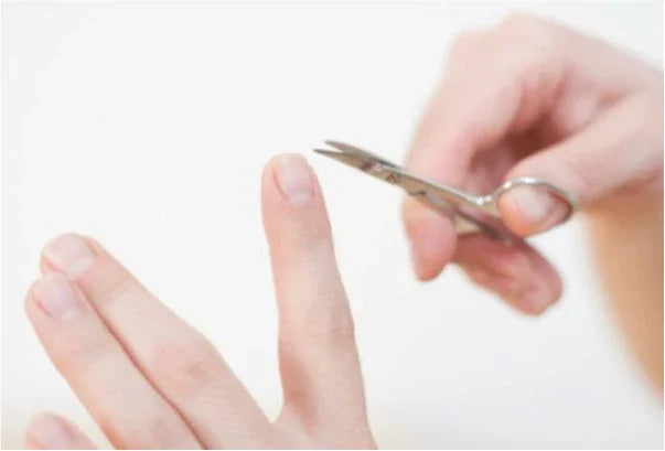 Nagelscheren mit gerader und gebogener Schneide im Vergleich